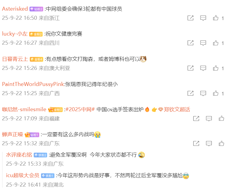 国内球迷纷