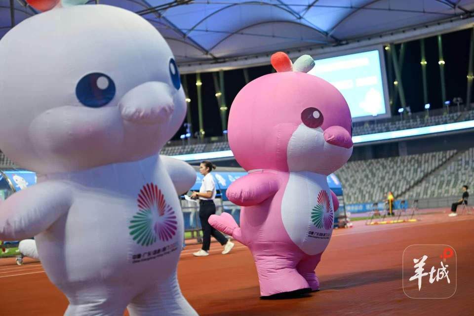 设备调试, 托完善组织